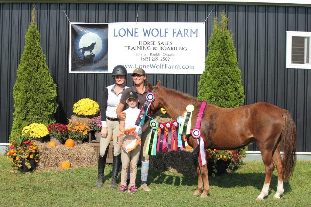 Shows / Competitions Lone Wolf Farm site
