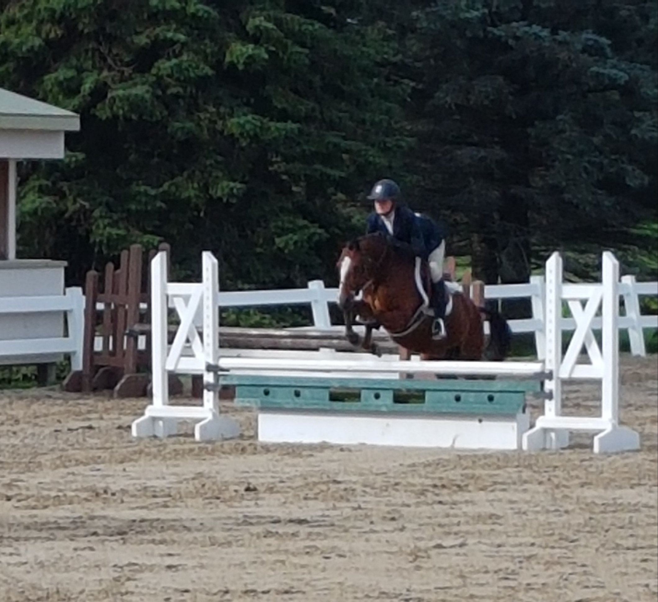 Home Lone Wolf Farm Equestrian Centre