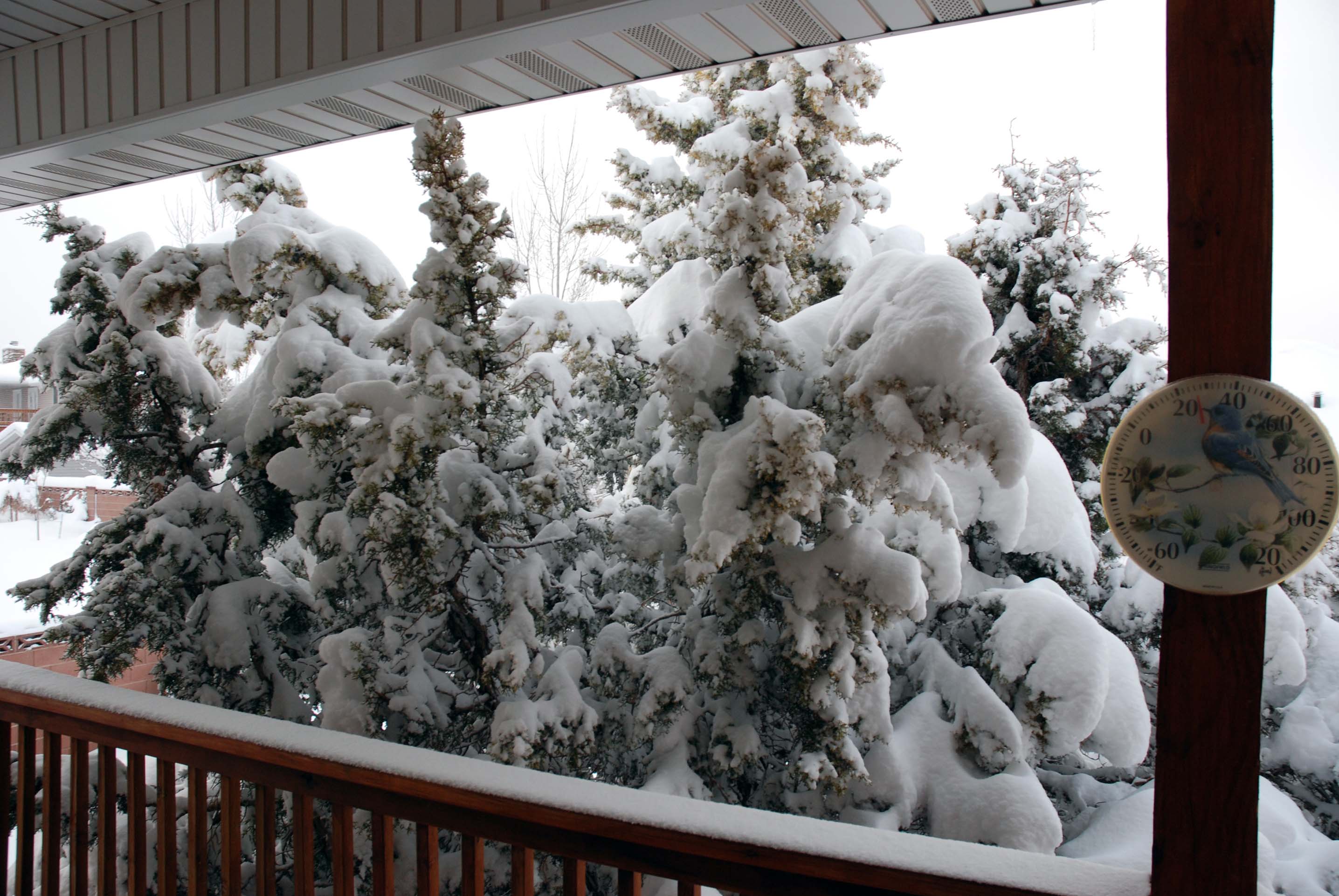 Snow In Cedar City Utah Dec. 2728 2006