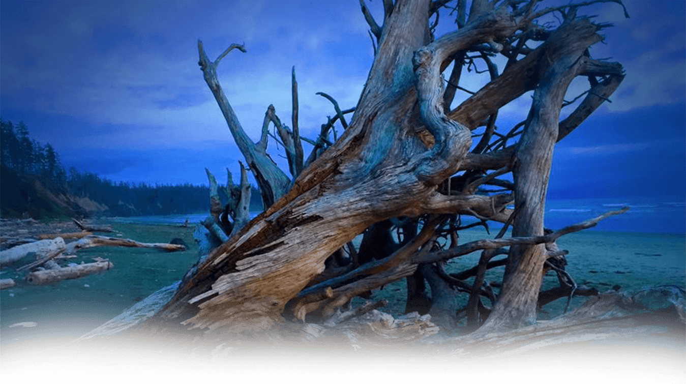 Ucluelet Long Beach Charters