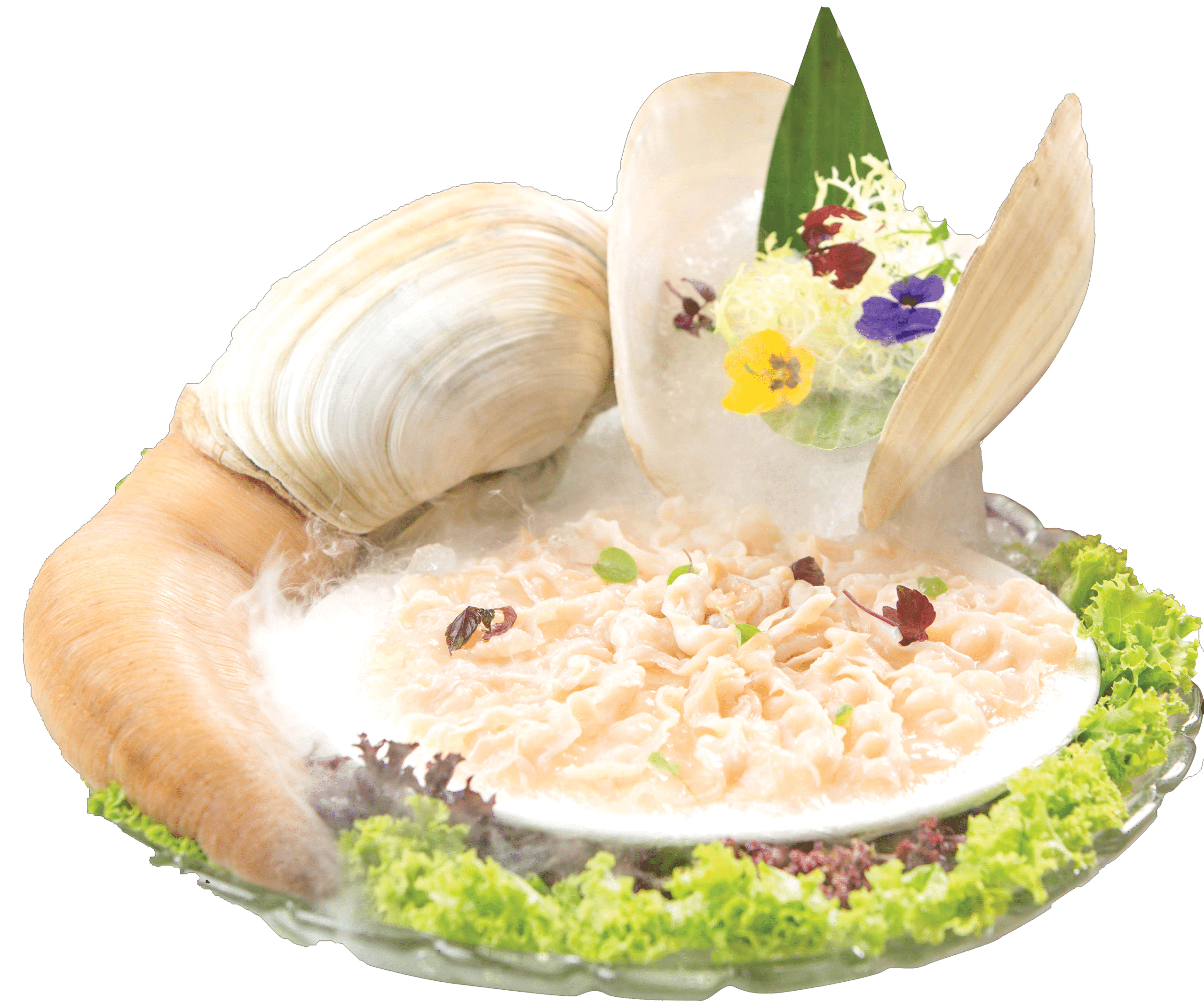 Live Geoduck Long Beach Seafood