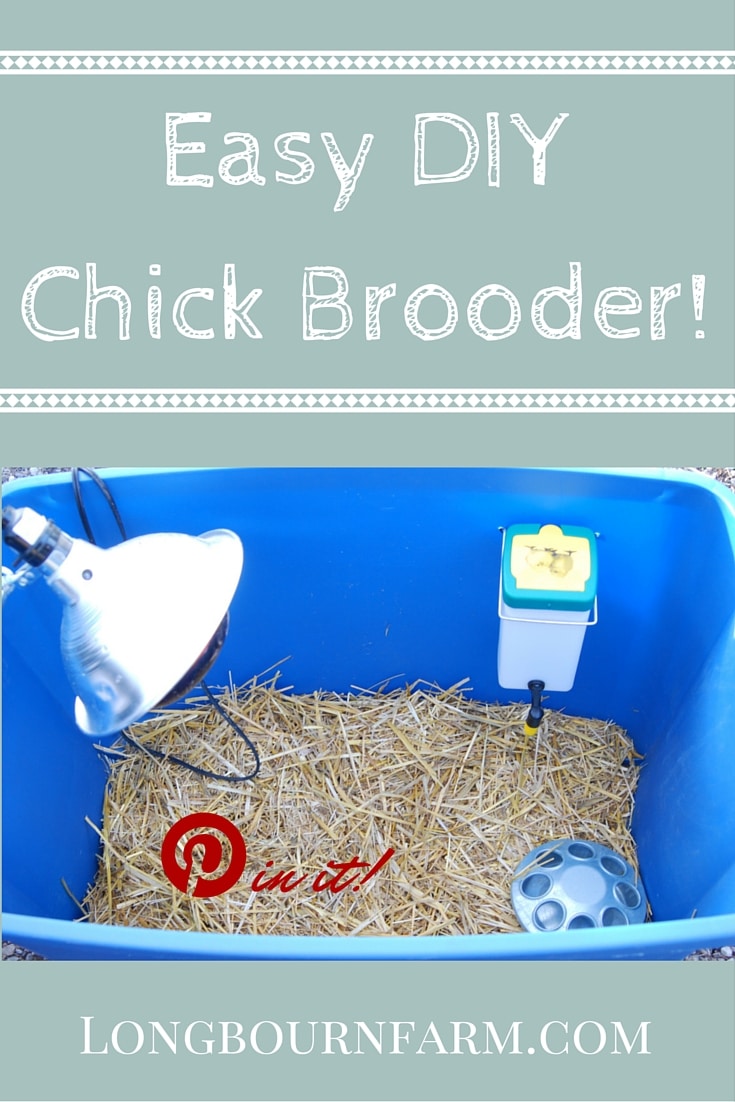 Easy DIY Chick Brooder • Longbourn Farm