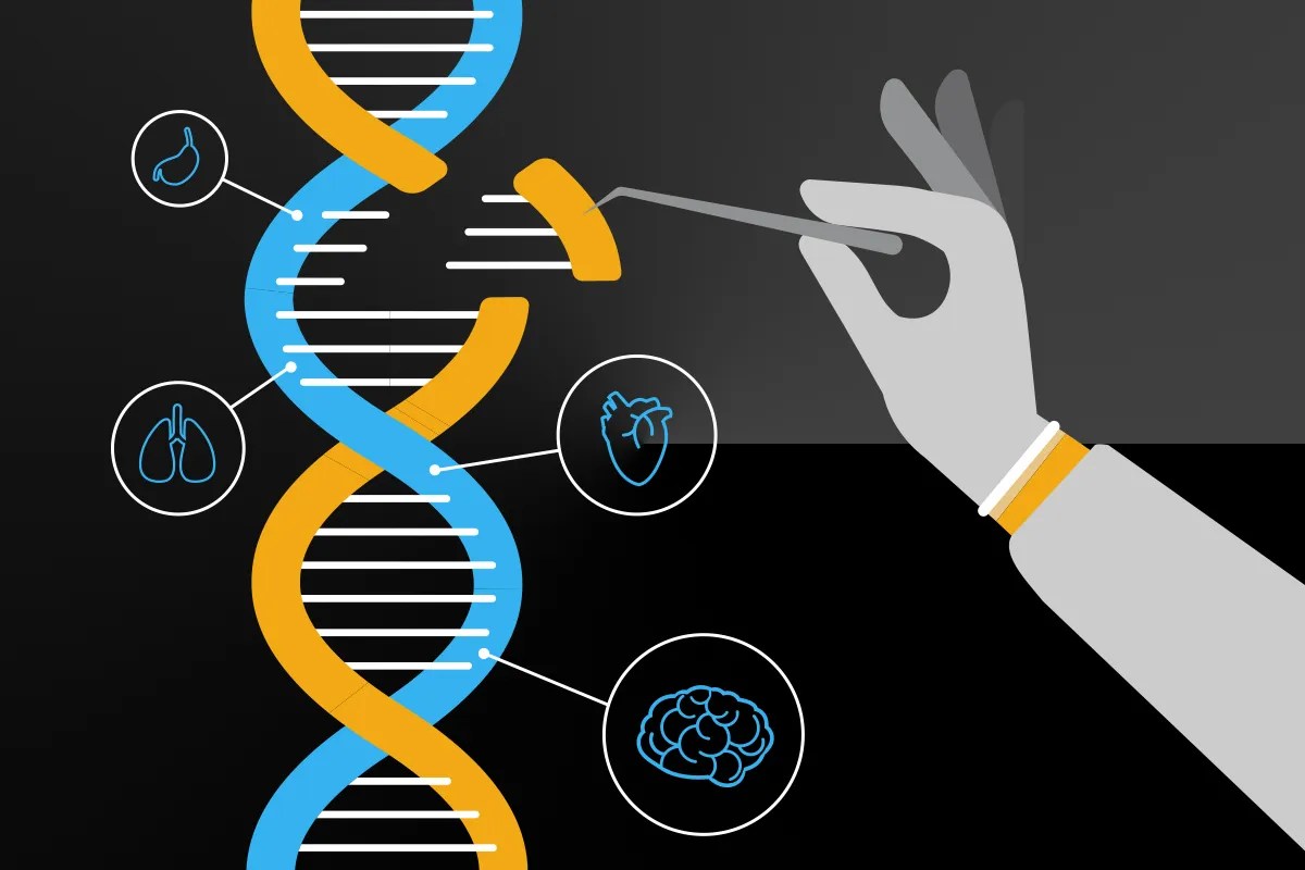 Cut and paste for longevity CRISPR tool enables gene insertion