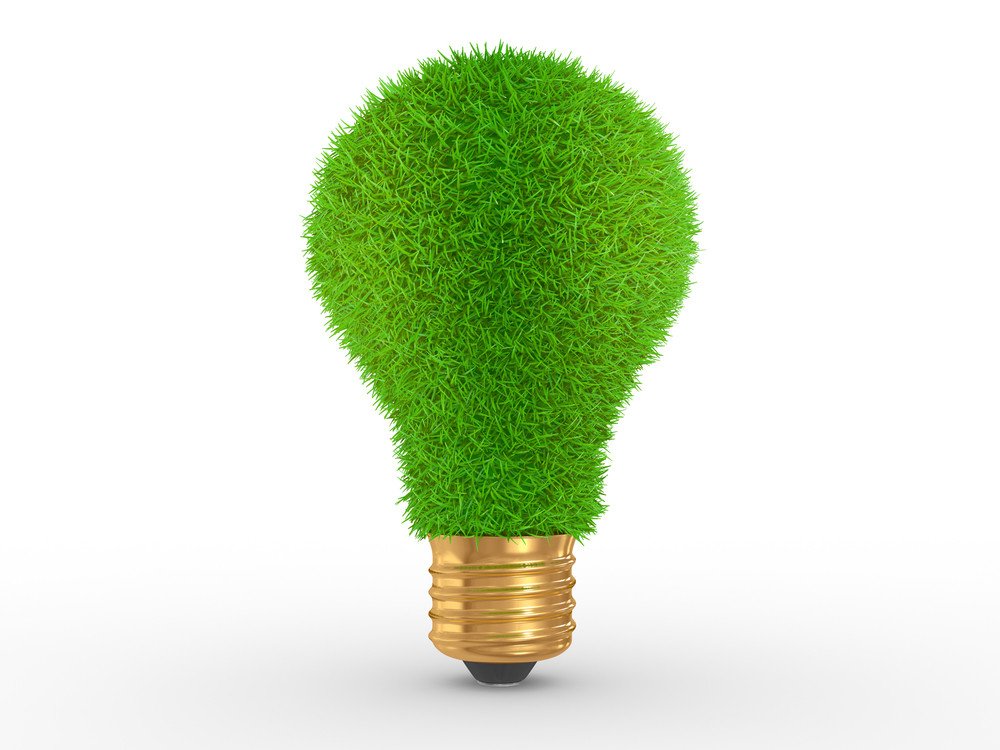 7 EcoFriendly Products For Daily Life Longevity LIVE