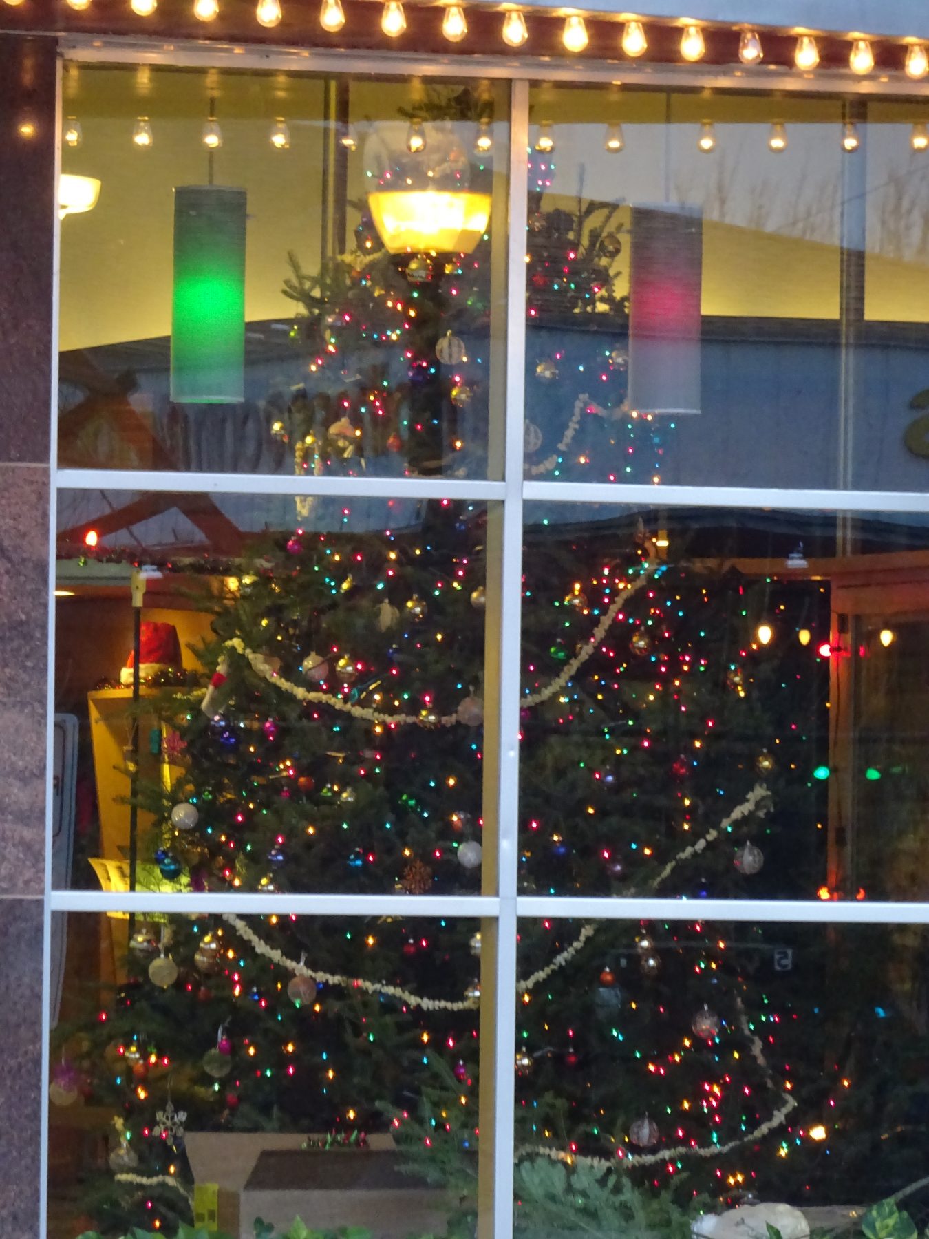 Holiday Lights at the Riverview Longfellow365