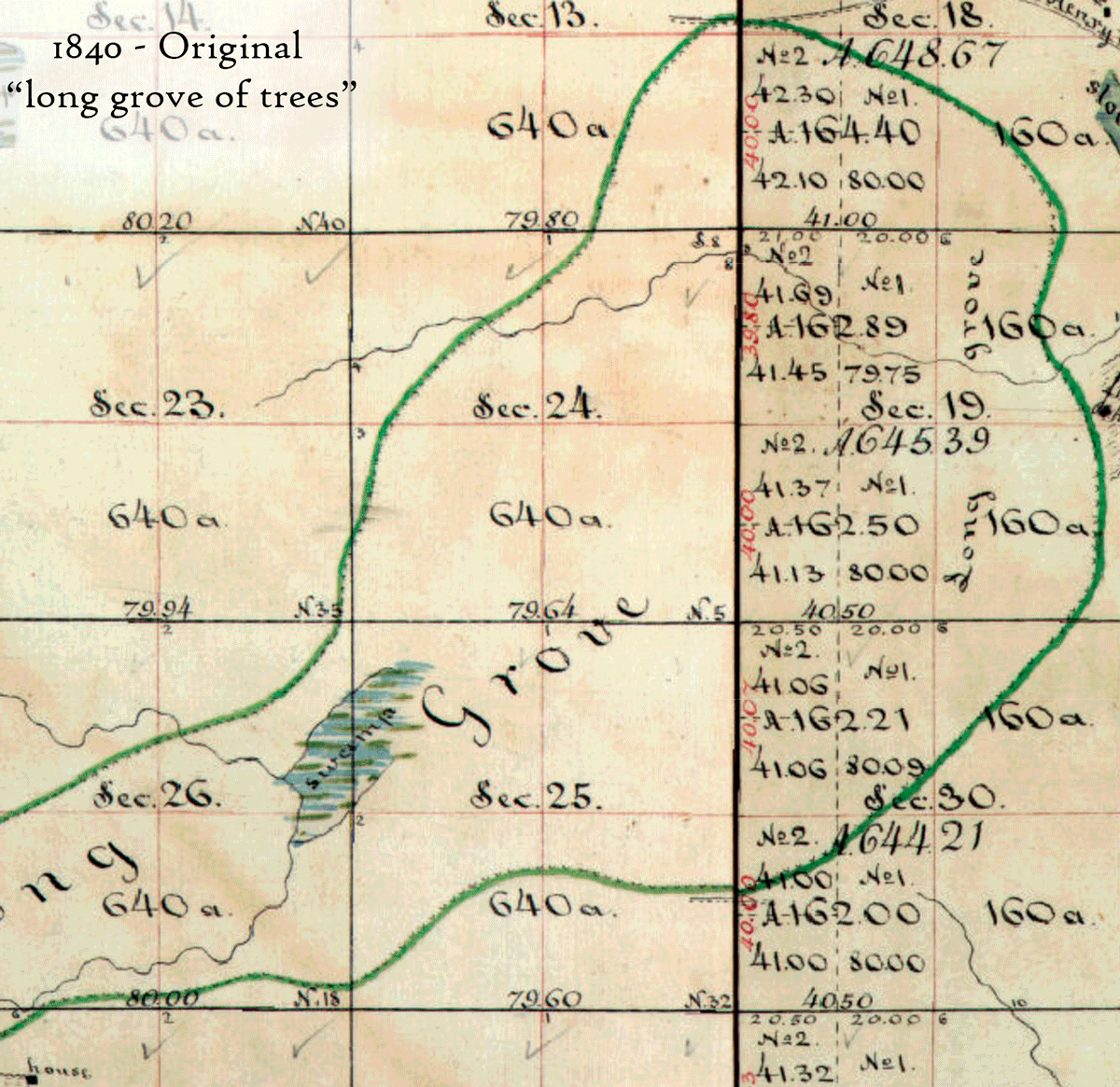 Long Grove Of Trees Long Grove Historical Society