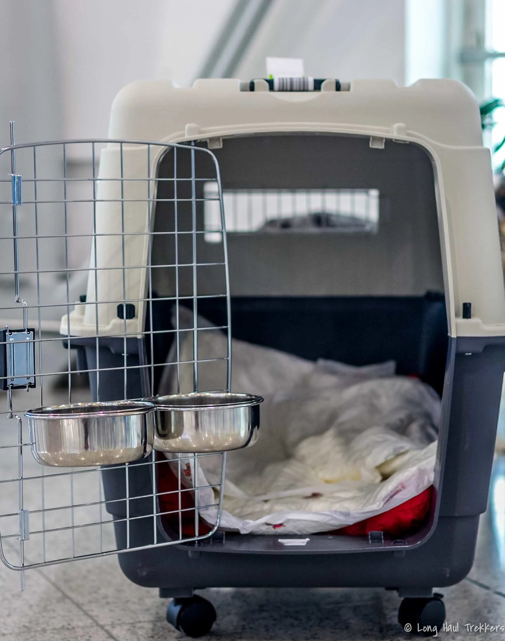 How to Fly Internationally with a Dog - Long Haul Trekkers