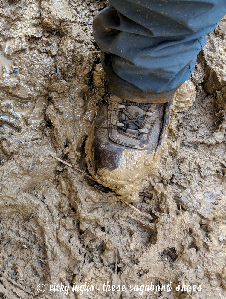 How to care for your hiking boots These Vagabond Shoes.