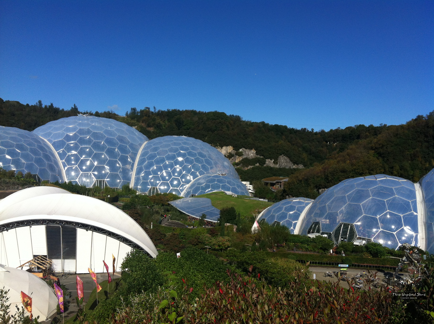 サイズ …TO by COTD’s Shop｜ラクマ THE EDENの通販 ホビー