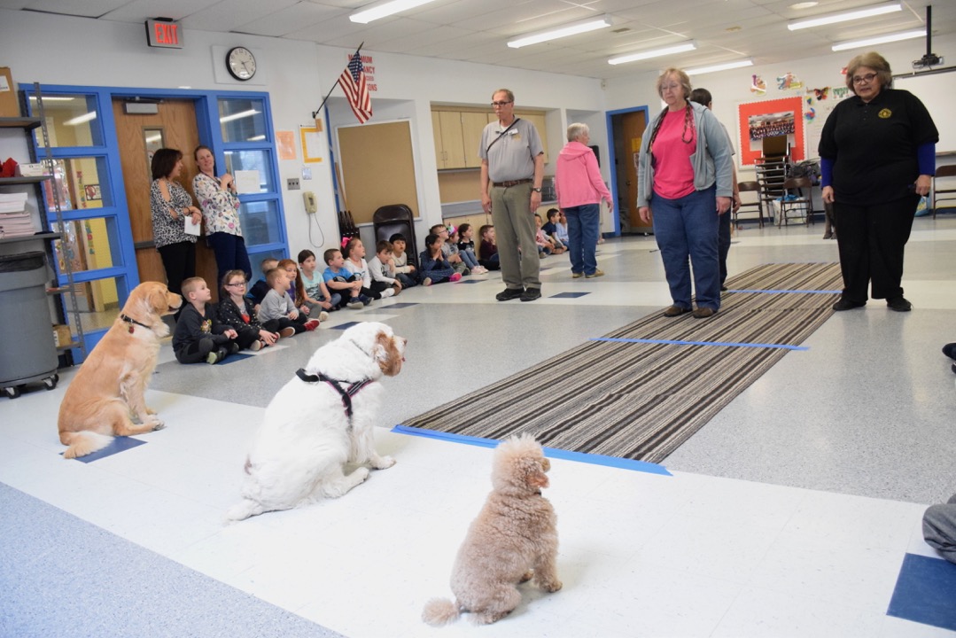 Waverly Learns To Care For Canines Long Island Media Group