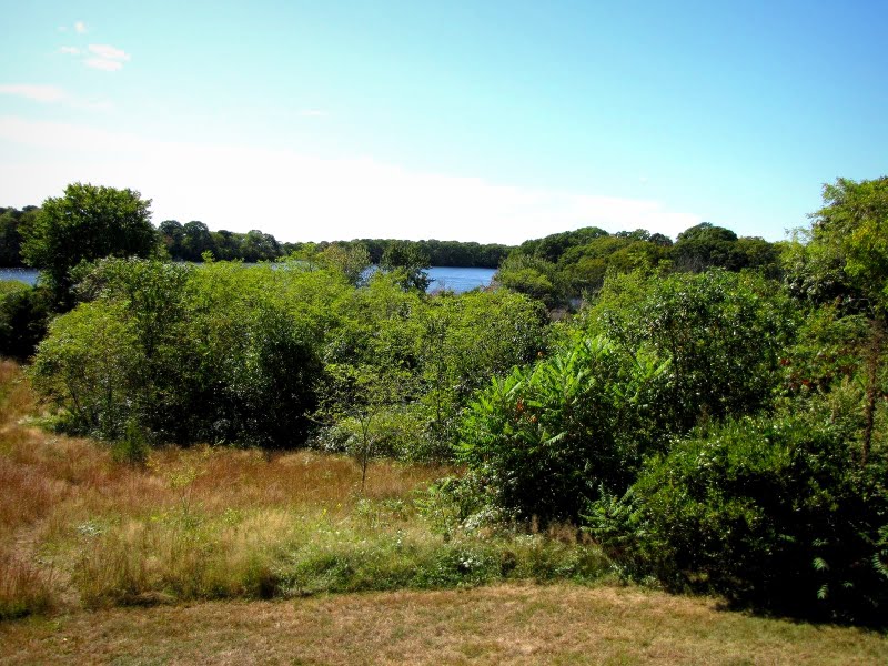 Fishers Island « Long Island Sound Study