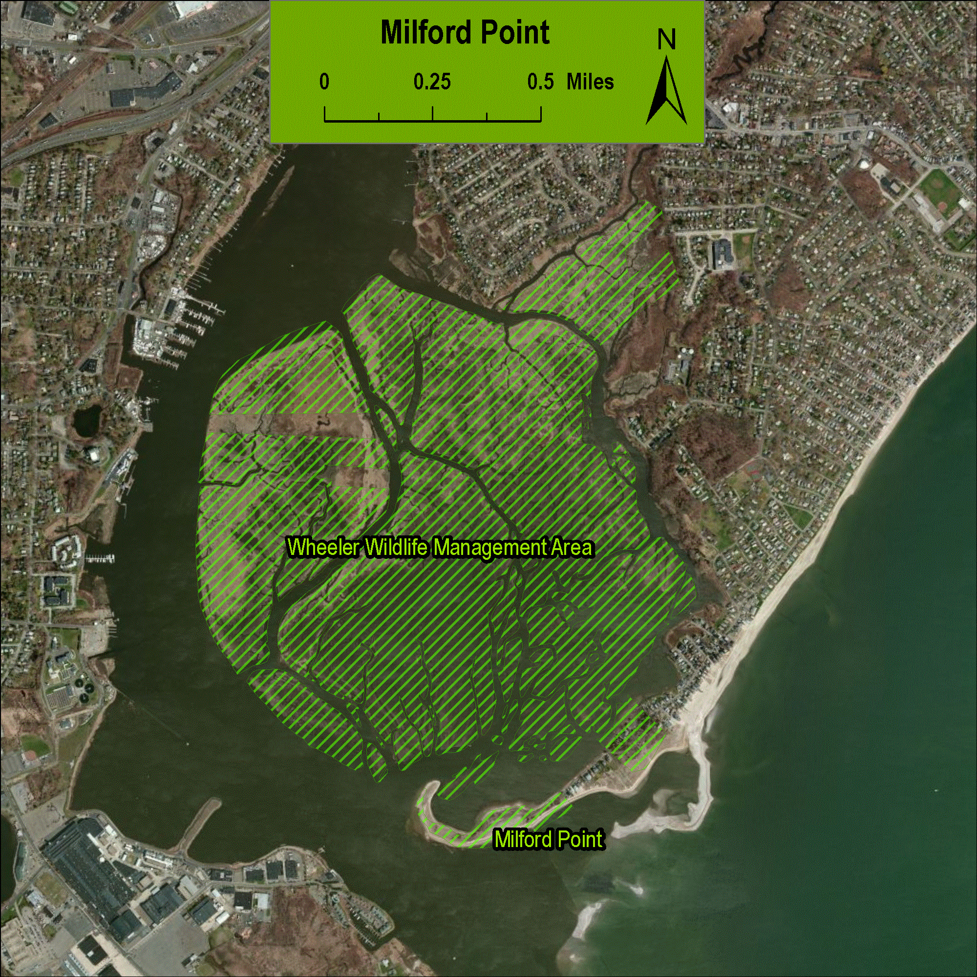Milford Point and Wheeler Marsh Long Island Sound Study