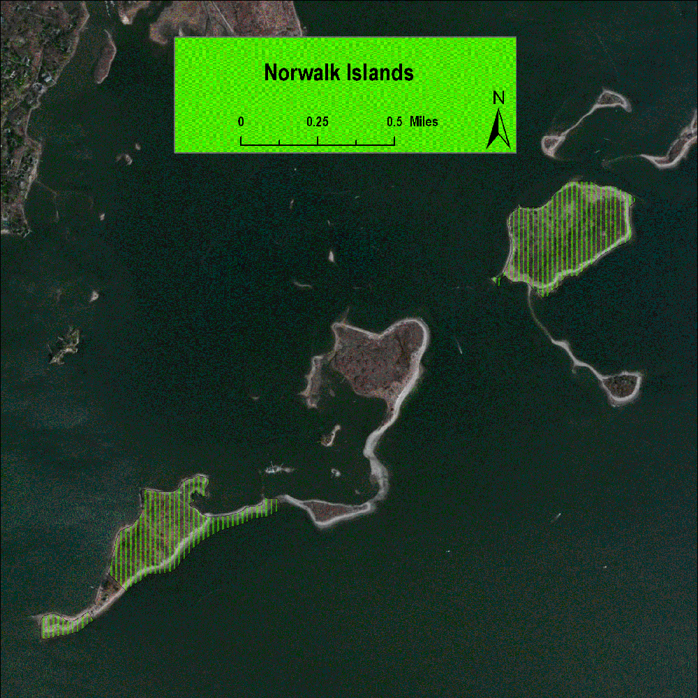 Norwalk Islands Long Island Sound Study