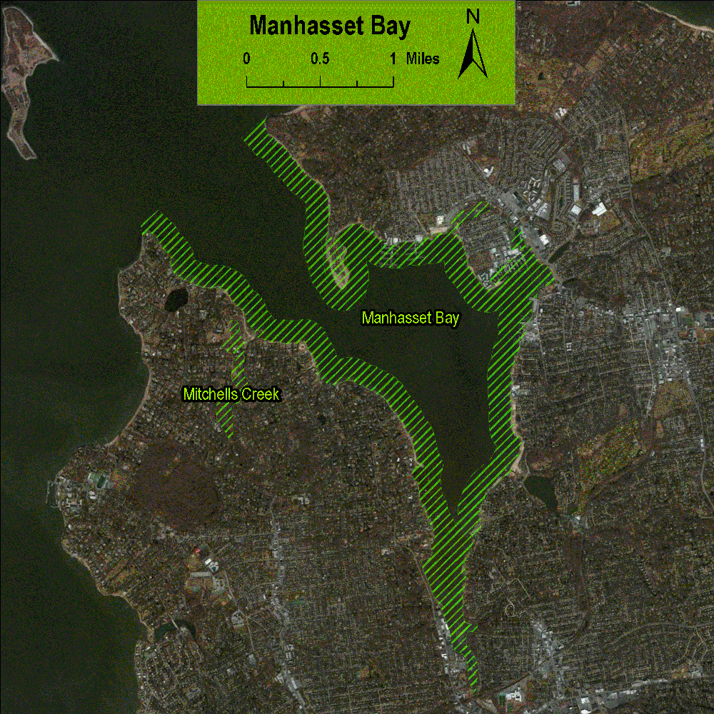 Manhasset Bay « Long Island Sound Study