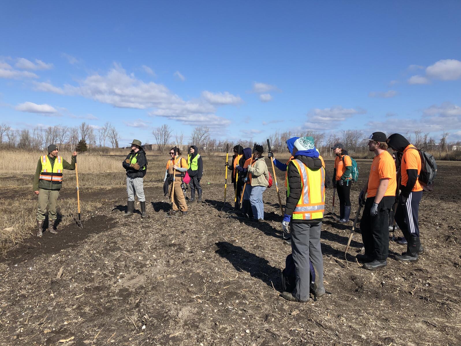 Great Meadows Marsh shows promising signs after undergoing 33acre
