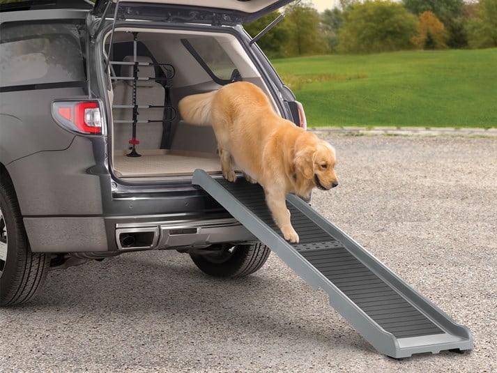 Best Dog Ramps Updated February 2024