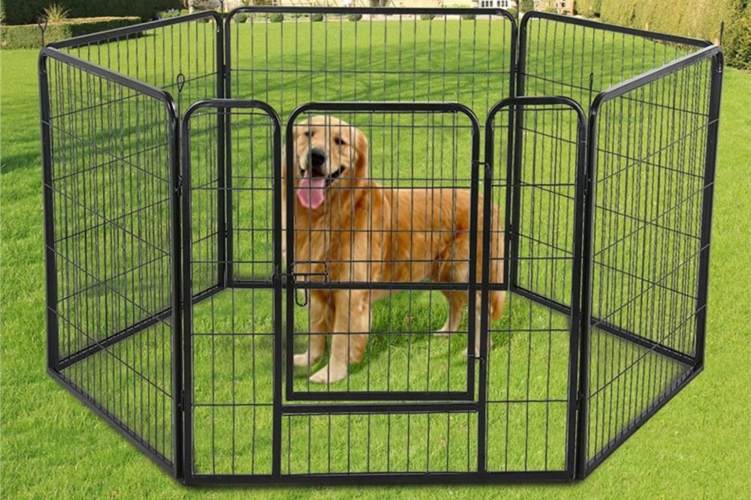 Best Puppy Pens Updated September 2024