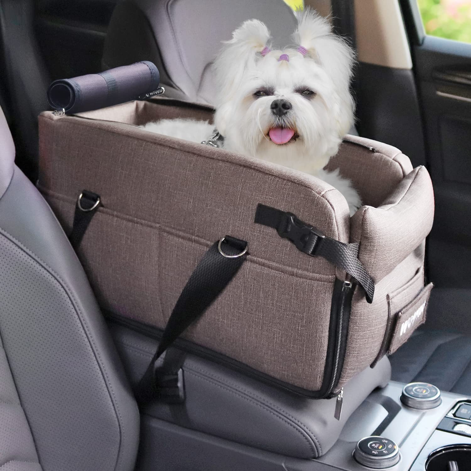 Best Small Dog Car Restraints Updated September 2024