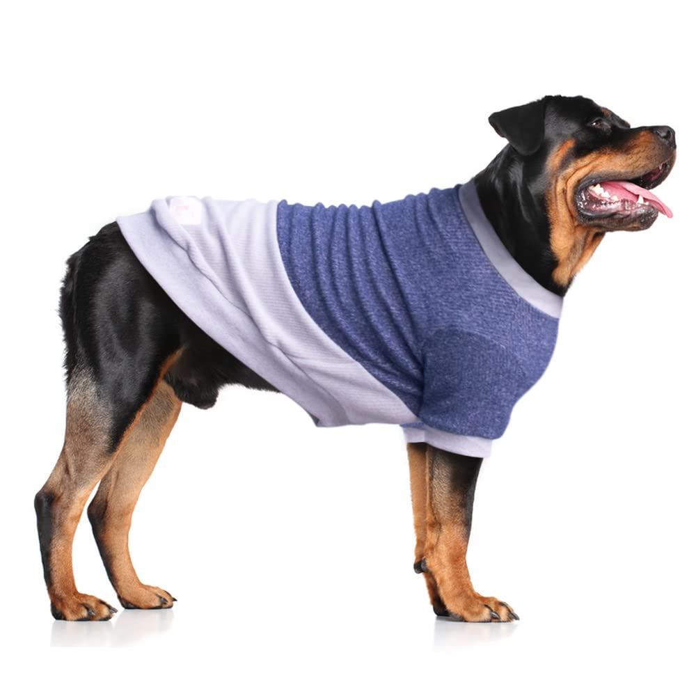Dog Jackets For Rottweilers Reviews & Analysis By Long Live Dog
