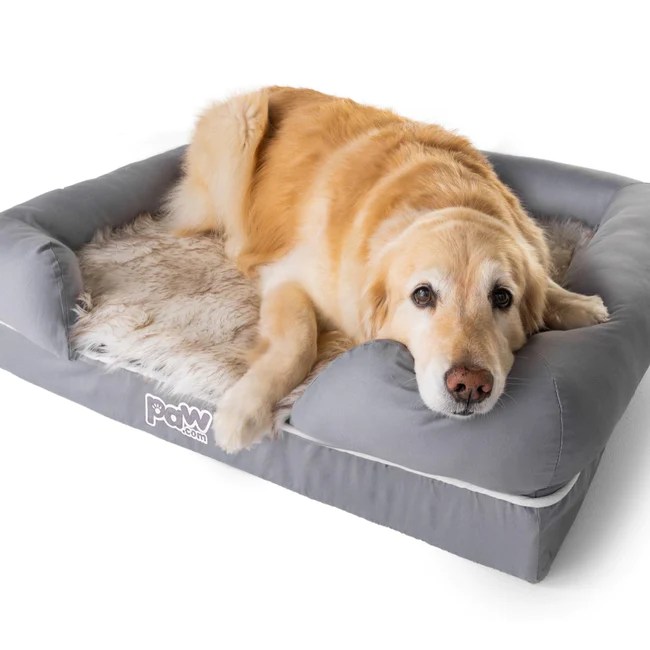 Best Dog Beds For Nesters Updated September 2024