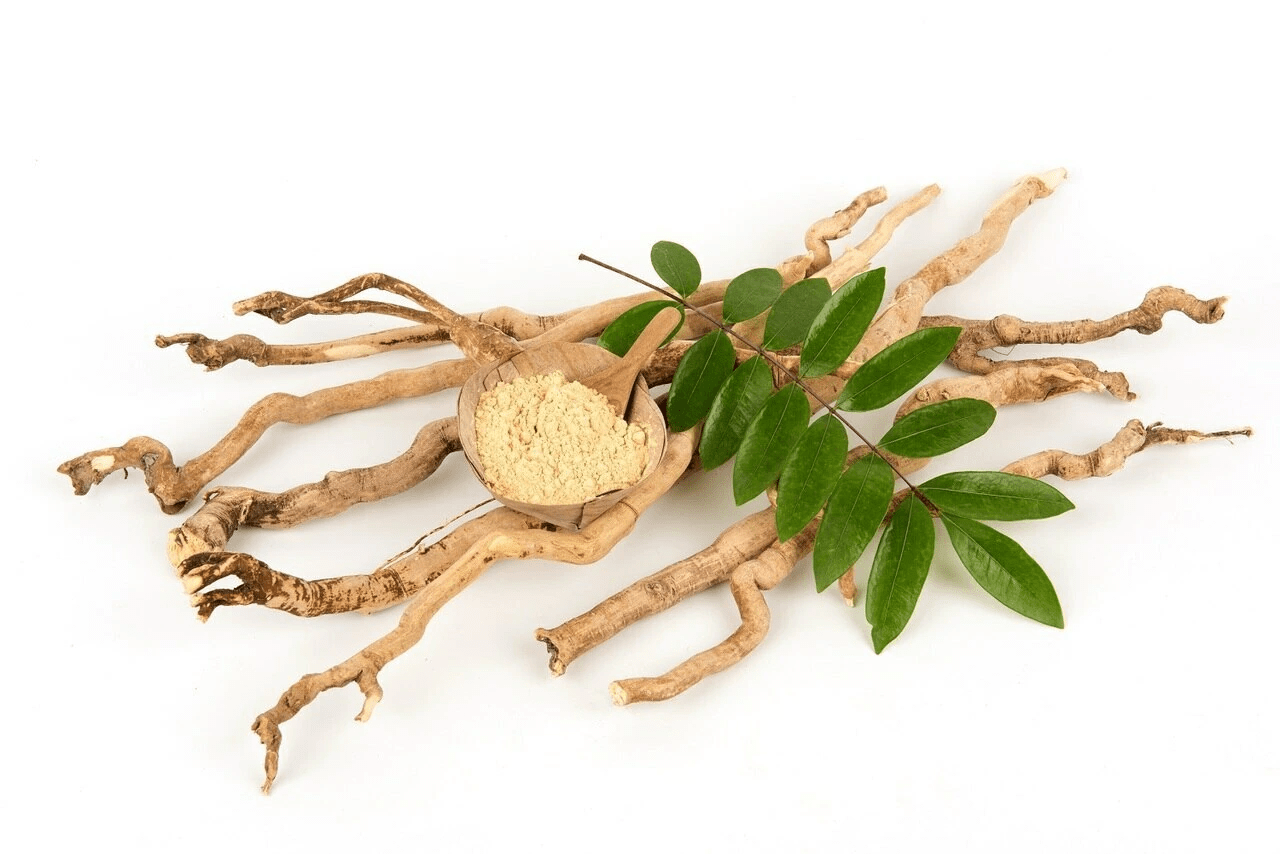 Tongkat Ali Longma Import & Export