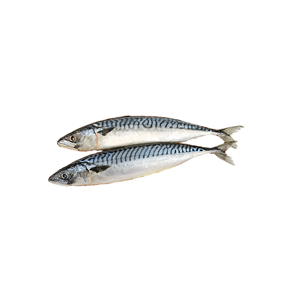 SABA MACKEREL PCS Long Seng
