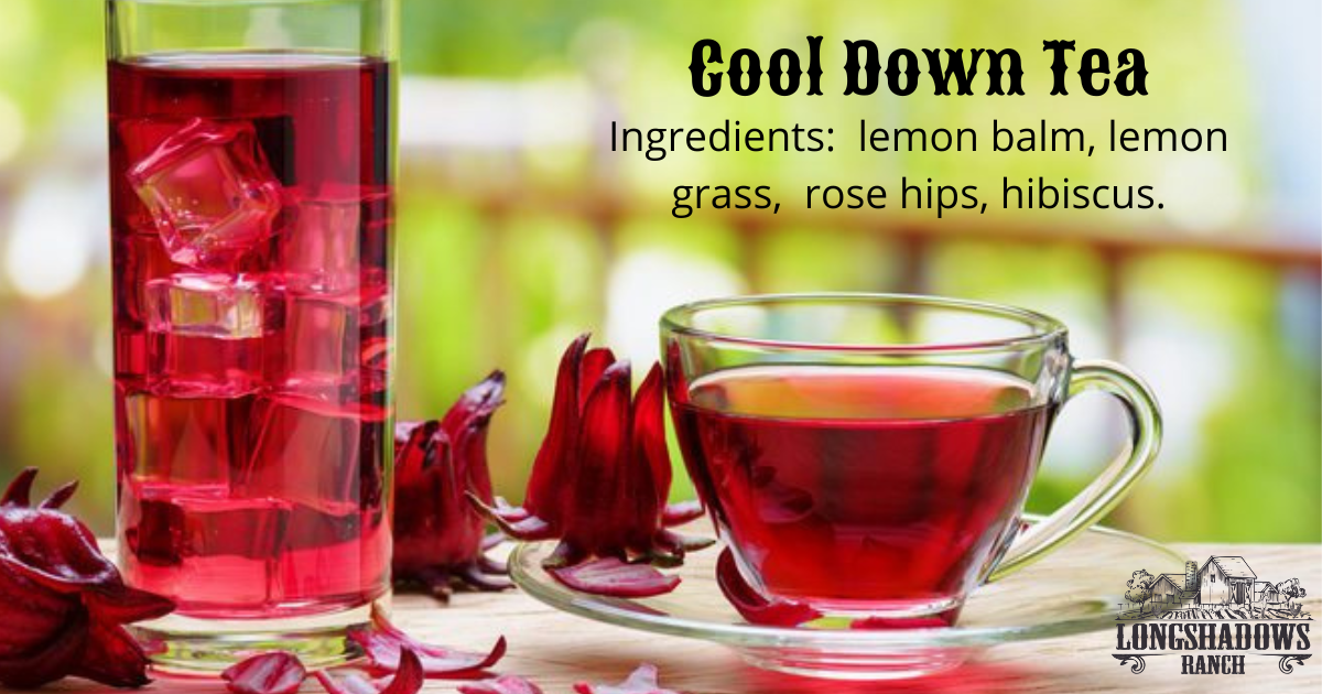 Cool Down Tea, 12 oz (volume) Longshadows Ranch