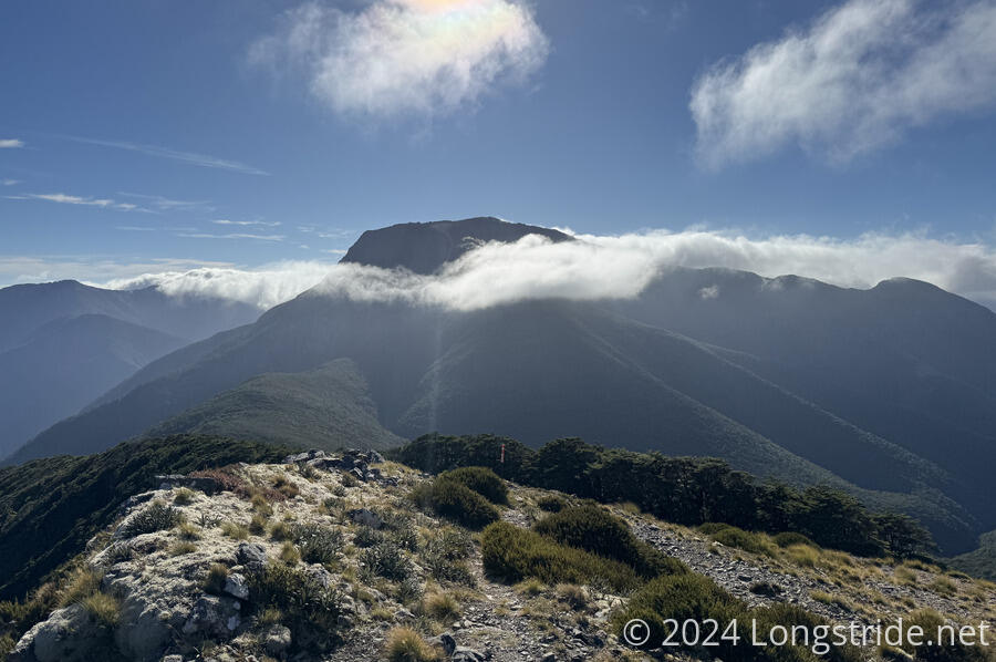 Day 92 Richmond Range Day 3 Rintoul to Mid Wairoa Te Araroa, 2023