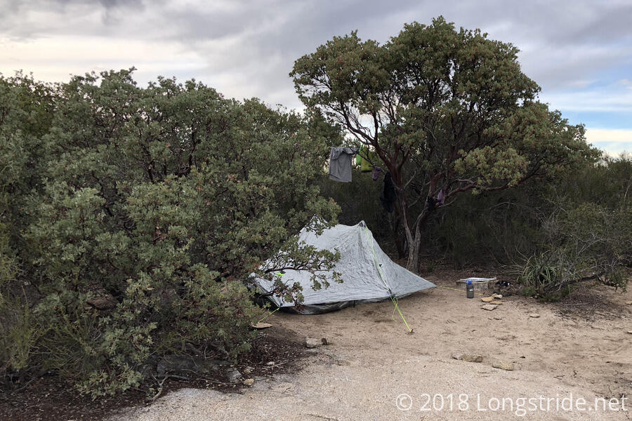 Day 1 A Trail of Lizards Pacific Crest Trail, 2018 Longstride Trail Journals