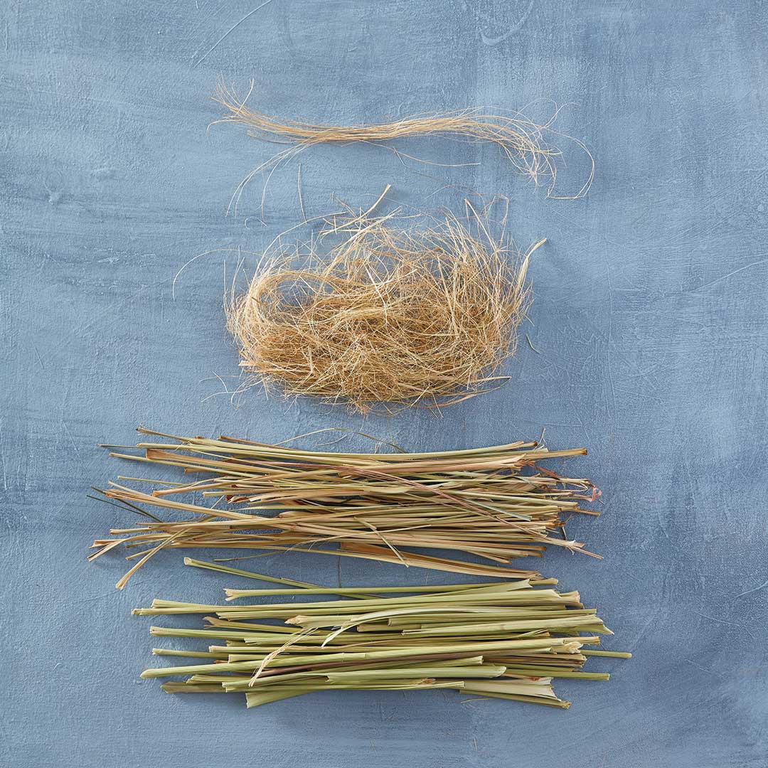 Exploring Bast Fibers Lemongrass Spin Off