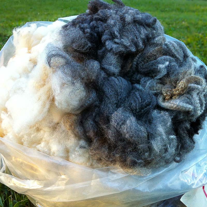 Searching the  for Wool How I Buy Fleece Online Spin Off