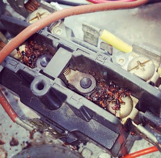 HVAC Pest Control Long Heating & Cooling