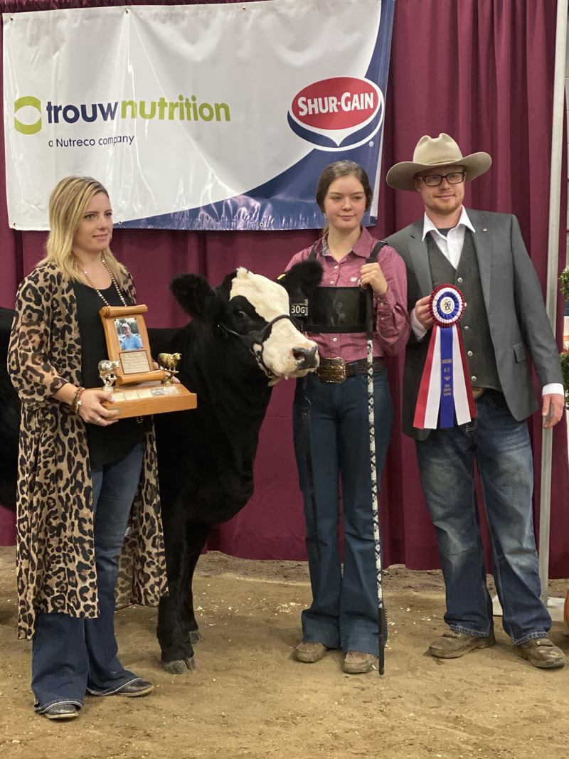Show Ring Longview Cattle Co. Awards Agribition Simmental Angus