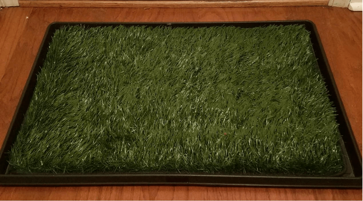 Loobani dog grass pee pads