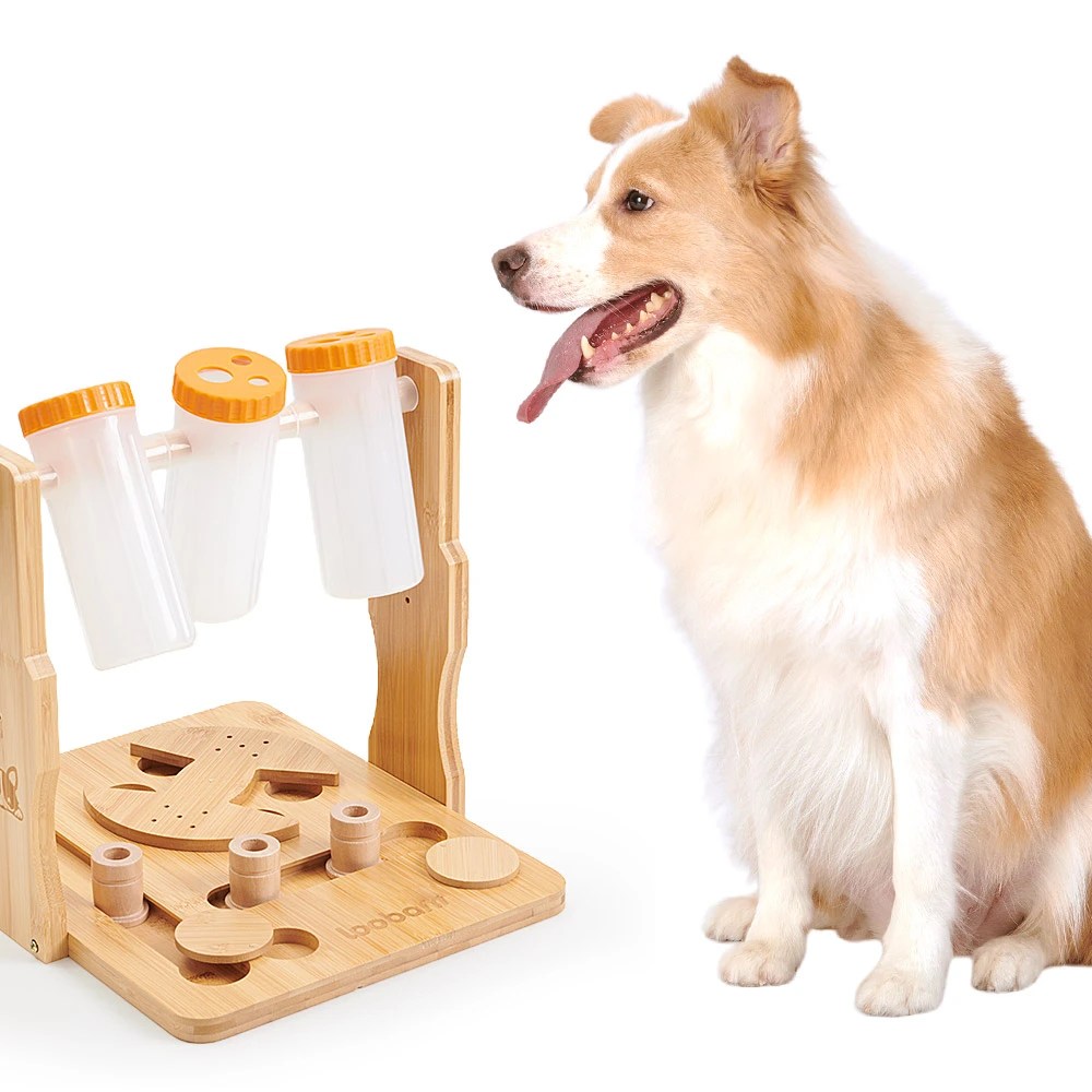 MultiPuzzle Dog Treat Dispensing Toy Loobani Pet