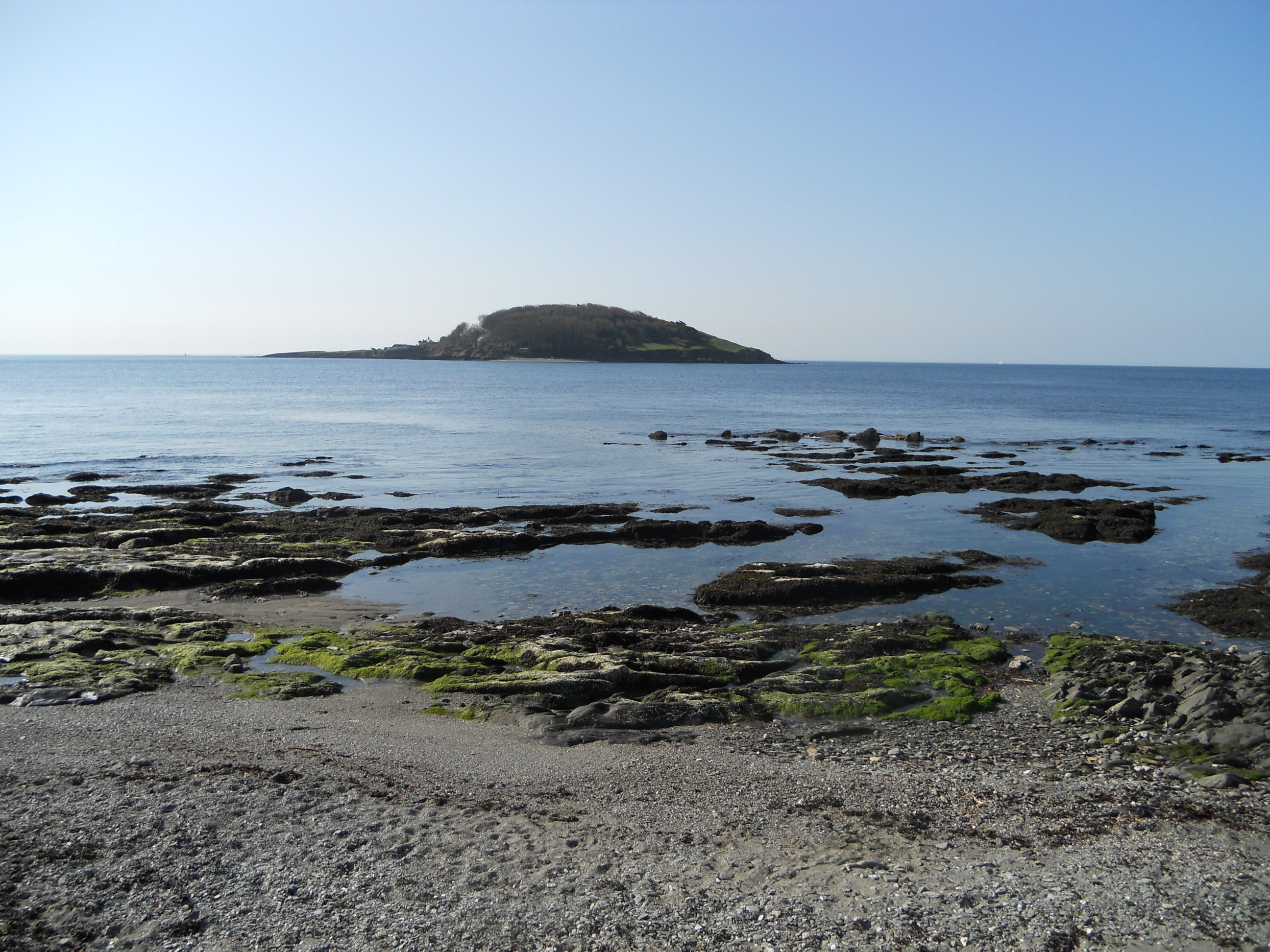 Extreme Beach Clean Looe Marine Conservation Group