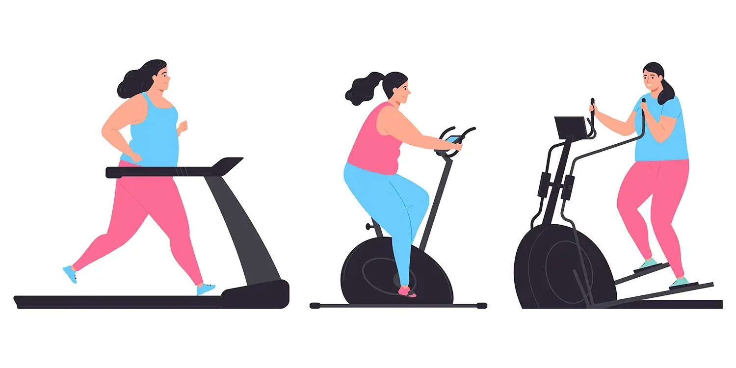 What Exercise Machine Burns the Most Belly Fat? The 15 Bests