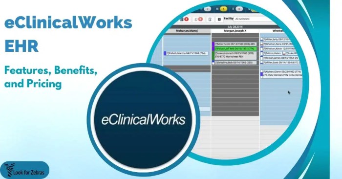 PPT - Health ePractice Electronic Medical Record Clinical Companion ...