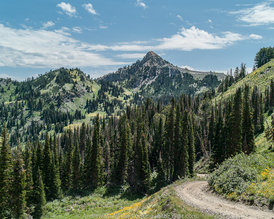 Exploring high places Willard Peak Looking at the West