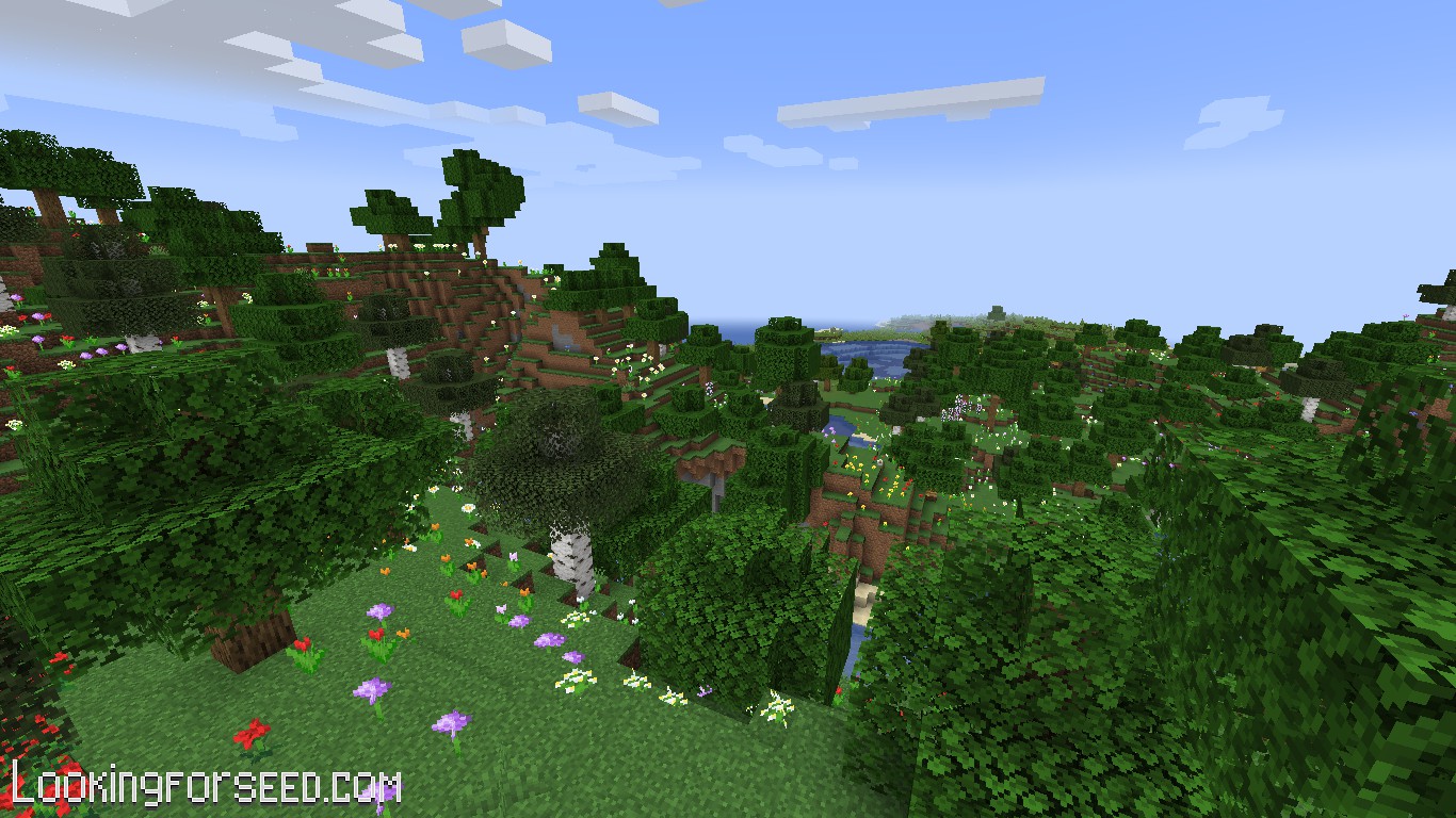 Large Flower Forest Island, Shipwreck, and More