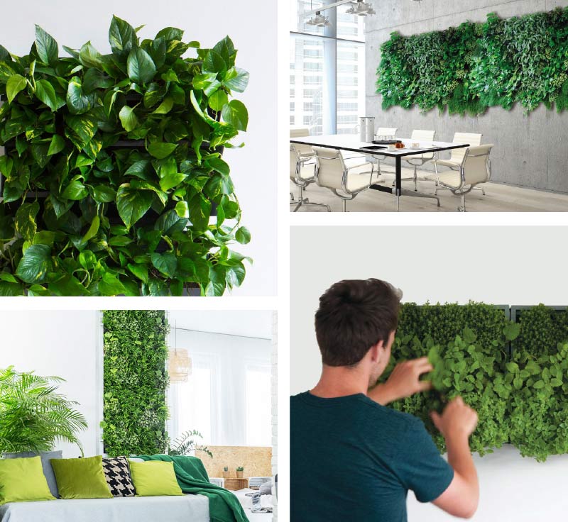 The Beautiful Benefits of Living Walls Home and Garden Look Local