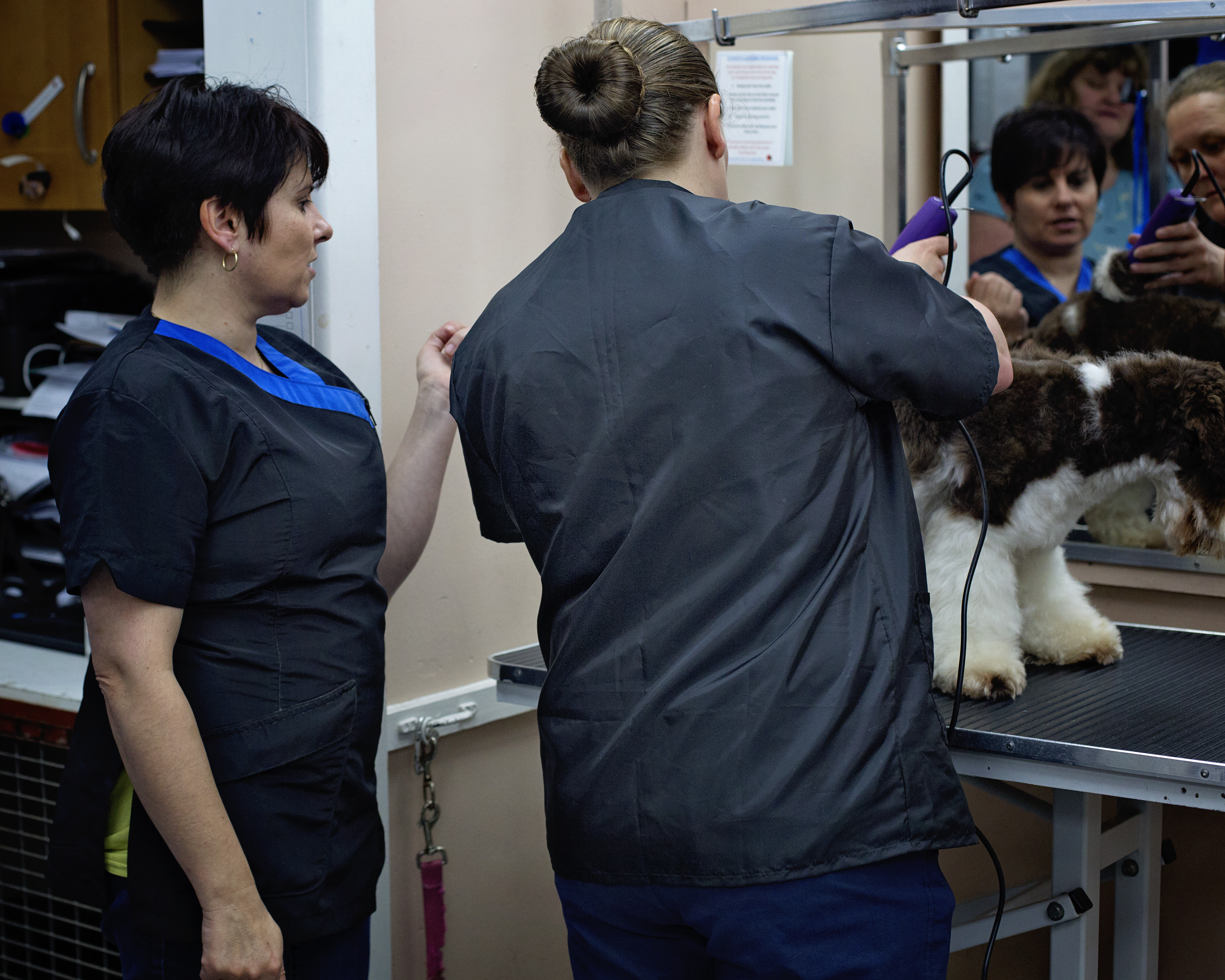 Look North Grooming & Training Centre