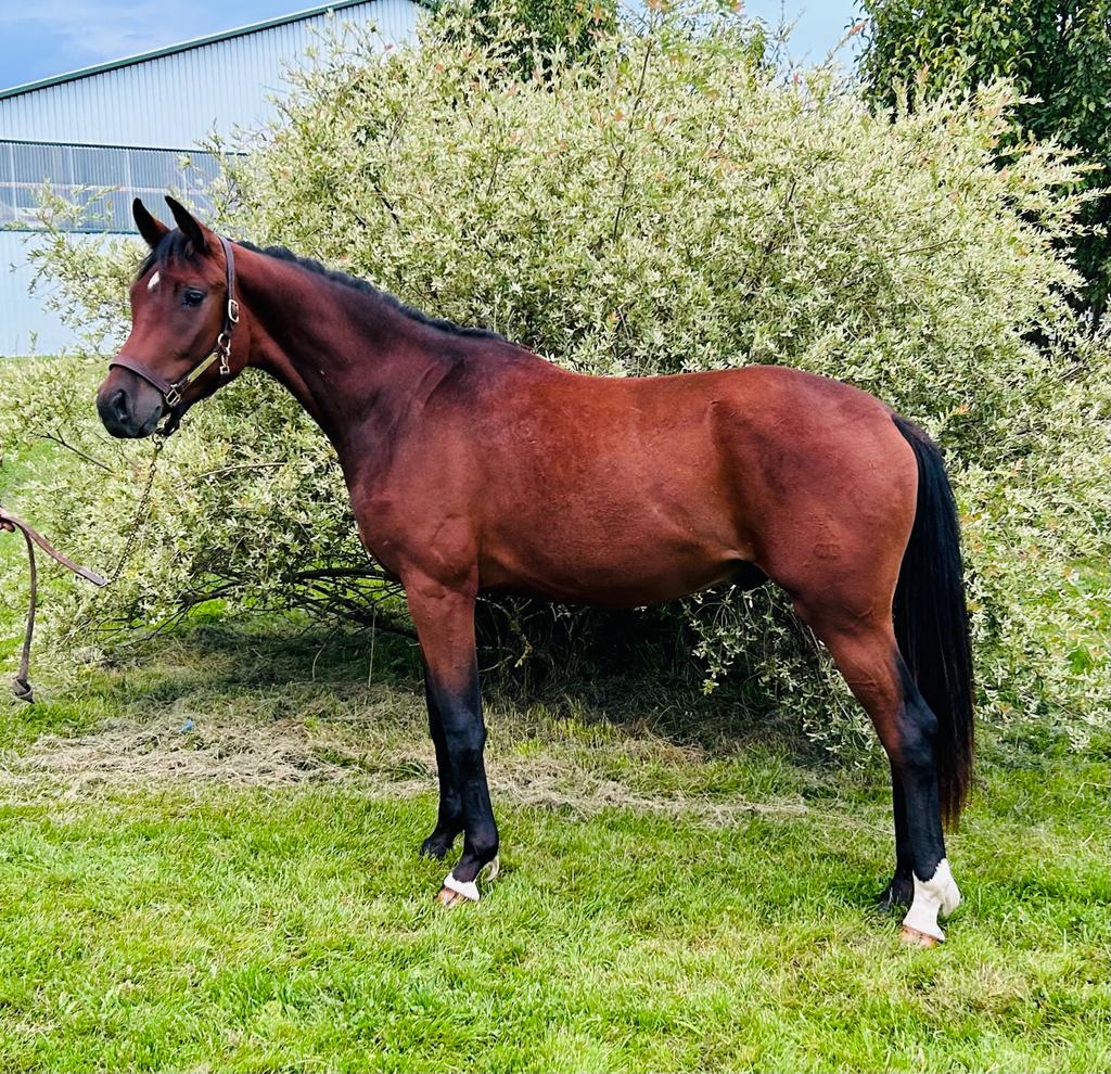 For Sale Lookout Farm