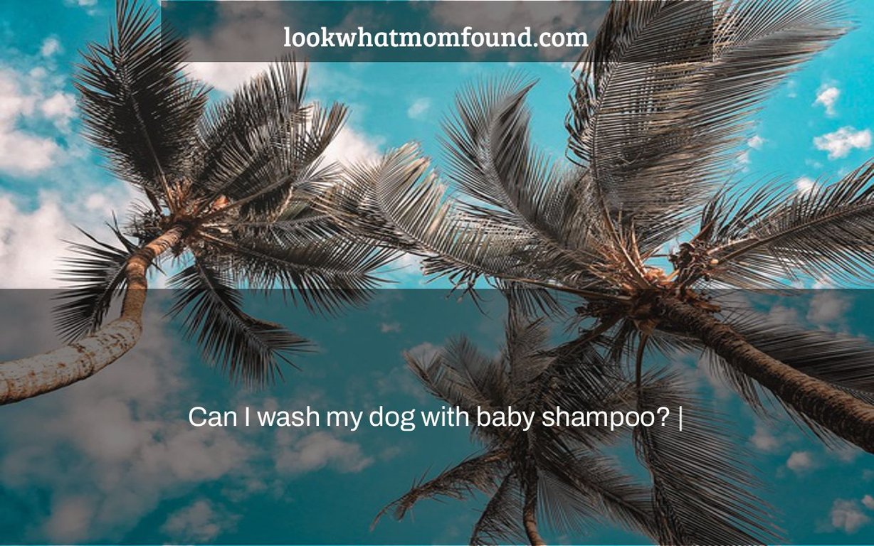 Can I wash my dog with baby shampoo?