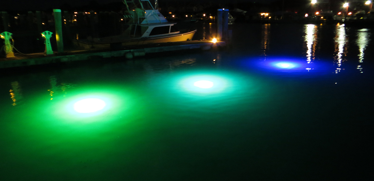 HighIntensity LED Underwater Lights Loomis LED Underwater Lighting