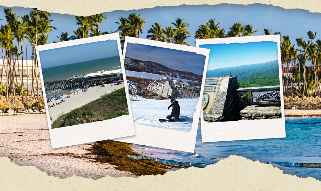 Best Spring Break Destinations for Families on a Budget Looney Nature