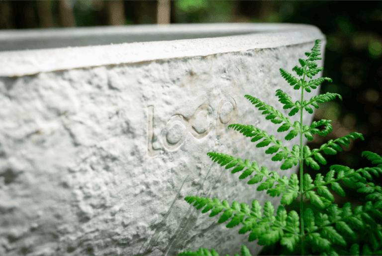 Loop Living Cocoon ’s Werelds eerste Levende doodskist