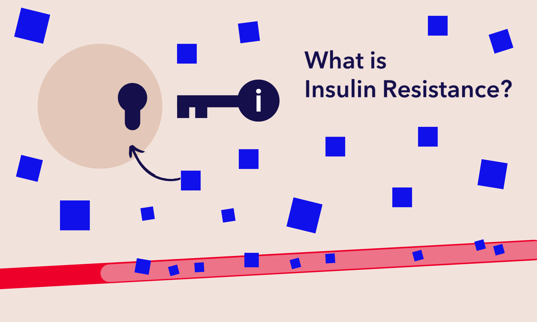 What is Insulin Resistance? The LOOP Blog