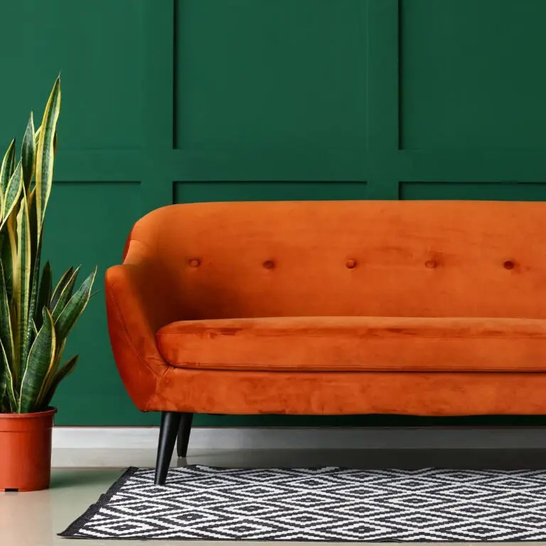 Score the Perfect Sustainable New Couch for Your Home