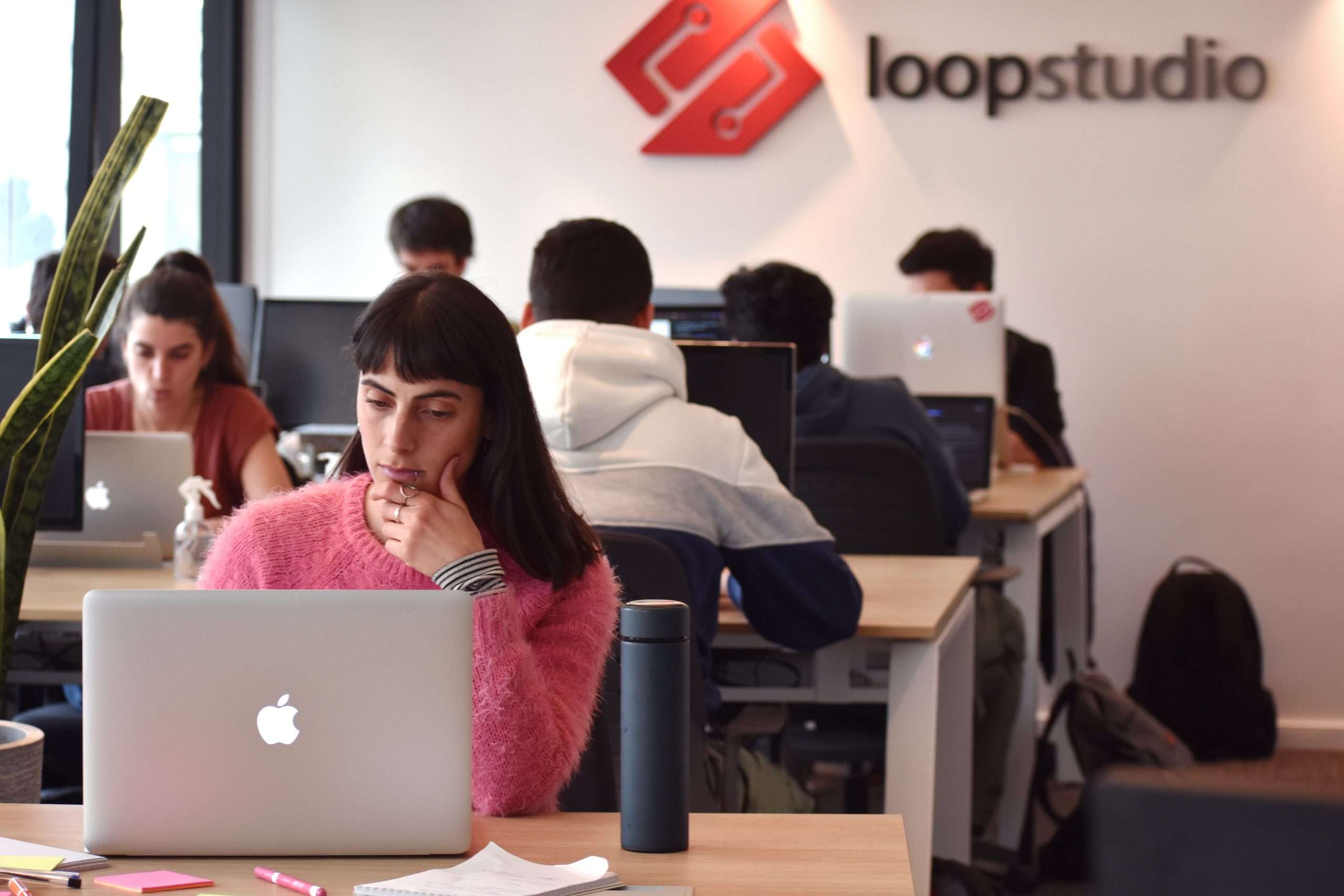 What is a software boutique company and what's their job like?